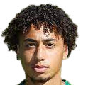 https://img.hwxx168.com/img/football/player/347a6d58ae7ec0425a4d42bc9215c411.png